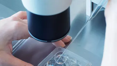 چگونه میل به شیرینی خوردن را کاهش دهیم؟