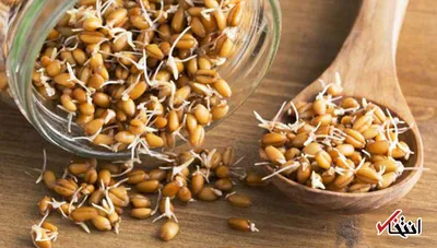جوانه گندم چه خواصی برای سلامتی دارد؟