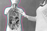 بدون کدام اندام‌ها همچنان می‌توان به زندگی ادامه داد؟