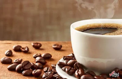 چرا نباید برخی خوراکی‌ها را دوباره داغ کنیم؟ (قسمت سوم)