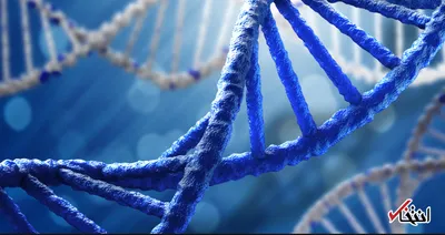 ذخیره سازی اطلاعات در DNA پروژه ای منطقی یا خطرناک؟ / نگرانی مدیرعامل سامسونگ از آینده هوش مصنوعی در جهان
