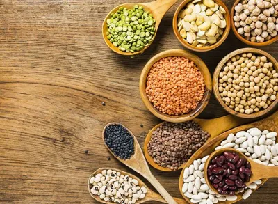 بهترین روش‌های کاهش وزن برای افراد بالای ۴۰ سال(قسمت دوم)
