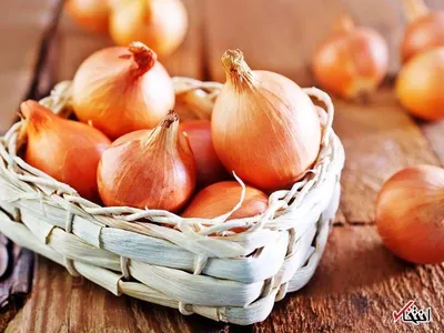 دمای مناسب نگهداری خوراکی‌های محبوب (قسمت اول)
