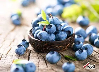 چگونه مغز خود را با خوراکی‌ها تقویت کنیم؟