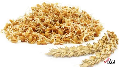 جوانه های گیاهان چه خواصی دارند؟