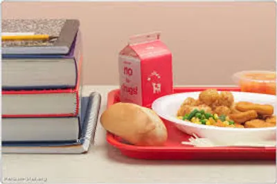 تغذیه مناسب در کاهش استرس شب امتحان مفید است