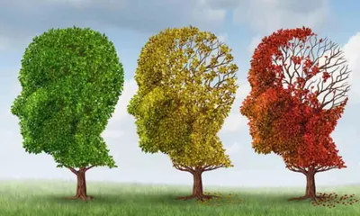 علائم اولیه آلـزایمـر را بشناسید