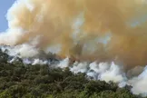 استاندار خوزستان در پی تداوم آتش‌سوزی در منطقه خاییز و تشدید شرایط ناشی از وزش باد، خواستار اعزام بالگرد آب‌پاش شد