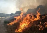 محیط‌زیست خوزستان: حریقی در محدوده تالاب هورالعظیم رخ نداده/ آتش‌سوزی در محدوده انتهایی کانال زهکش المهدی به وقوع پیوسته