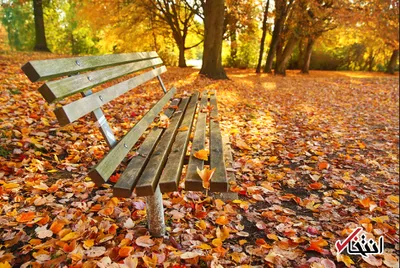 راه هایی برای ساختن پاییزی شاد