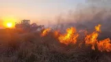 مدیریت بحران: آتش میانکاله مهار شد/ با توجه به حجم آتش‌سوزی، یک لودر و دو تراکتور در حین عملیات اطفاء دچار حریق شدند، اما مصدومی گزارش نشد/ احتمال شعله‌وری مجدد آتش وجود دارد