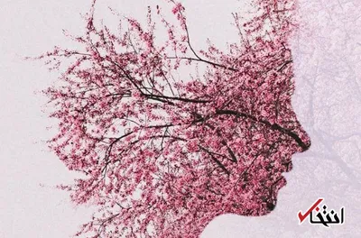 چرا در سن پایین فراموشکارم؟