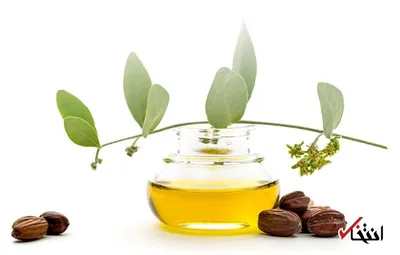 همه چیز درباره خواص روغن جوجوبا / از مبارزه با پیری تا درمان مشکلات پوستی