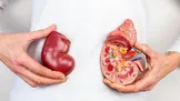شرایط پیوند کلیه؛ چه کسانی می‌توانند پیوند کلیه انجام دهند؟