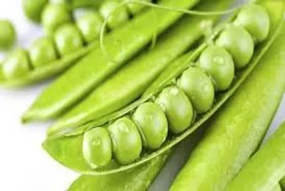 فایده نخود سبز در بهبود سلامت چشم و تقویت استخوان ها