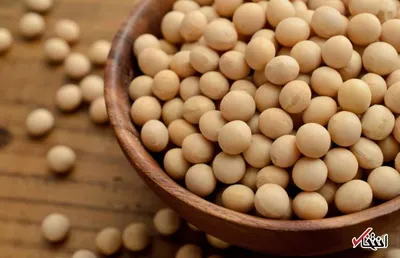 پیشگیری از ریزش مو در گیاهخواران