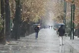 هواشناسی: بارش‌های جدی و سیستماتیک پاییزی، از هفته سوم تا چهارم مهر از غرب و شمال غرب کشور آغاز می‌شود/ در هفته اول مهر بارش آنچنانی نداریم/ پاییز امسال گرم‌تر از حد نرمال خواهد بود