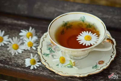 باید و نباید‌های مهم مبتلایان به کم خونی (قسمت اول)