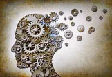 مبانی فکری مکتب تفکیک