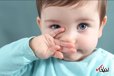 برترین میوه ها برای درمان سرماخوردگی کدامند؟