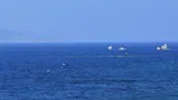 واژگونی قایق مهاجران در آب‌های یونان با ۵ کشته و ۲۰ مفقود