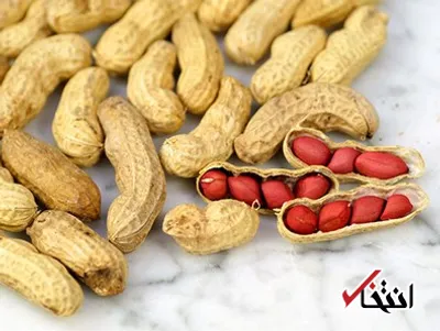 برترین خواص بادام زمینی چیست؟