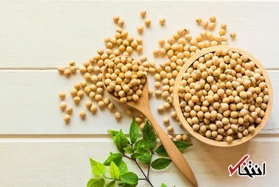 پس از خوردن سویا چه اتفاقی در بدن ما رخ می‌دهد؟