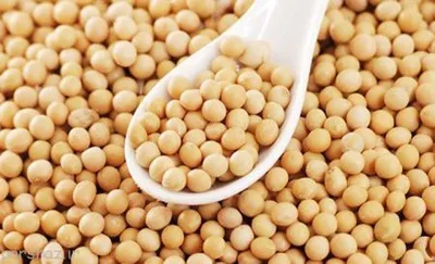 خواص سویا و ارتباط آن با گروه خونی