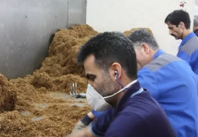 در بازار دخانیات چه خبر است؟/ چه کسانی از کاهش تولید داخلی سود می‌برند؟/ چرا واردات سیگار با وجود اتمام مهلت قانونی ادامه دارد؟