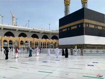 ربات ها واسطه زائران مکه و علمای مسلمان شدند